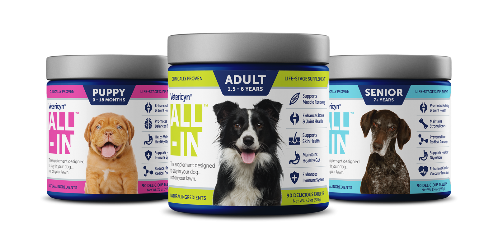 Product Spotlight: 5 Pet Wellness Products You Need to Know About